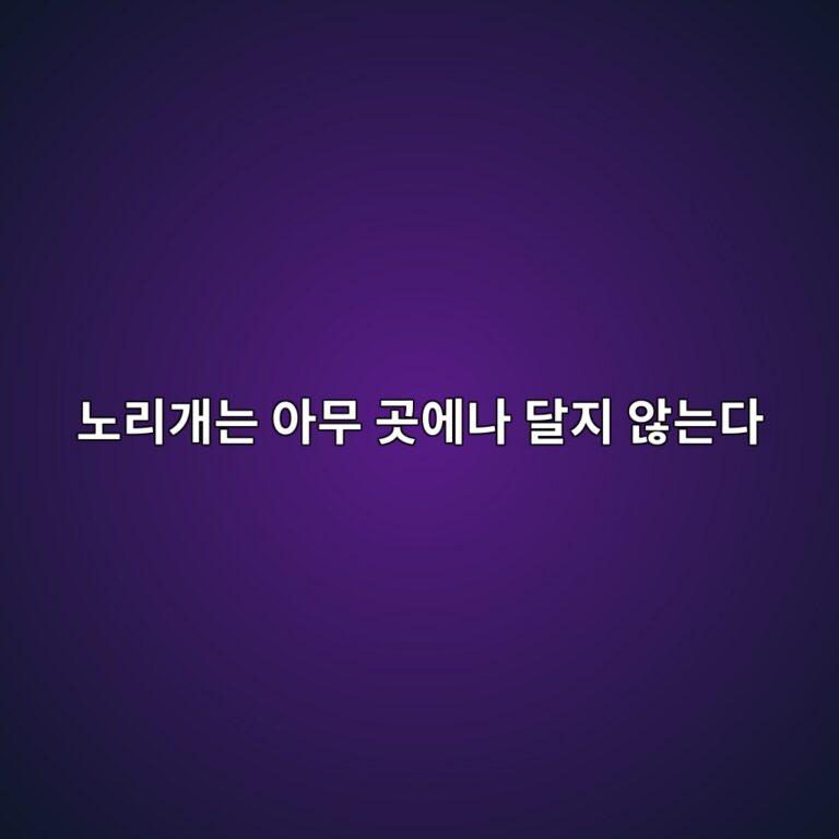 노리개는 아무 곳에나 달지 않는다, 한복 노리개의 위치와 종류 알아보기