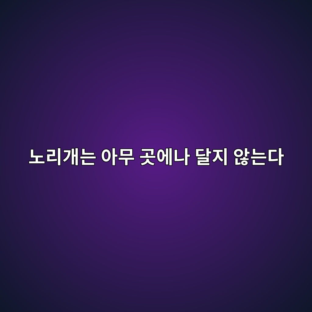 노리개는 아무 곳에나 달지 않는다, 한복 노리개의 위치와 종류 알아보기 제품 이미지