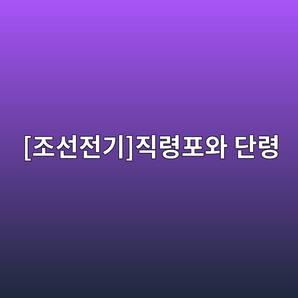 [조선 전기 복식 고증] 직령포와 단령의 형태학적 변화 연구 제품 이미지